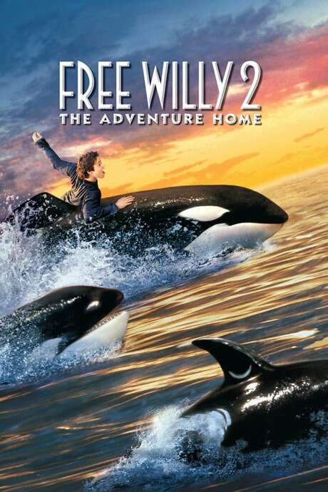 Free Willy 2: The Adventure Home